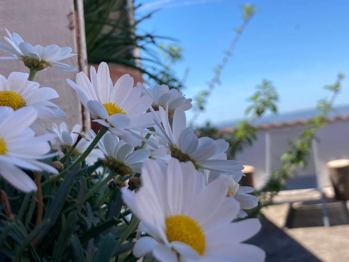 Canduleri Orgosolo Exteriér fotografie