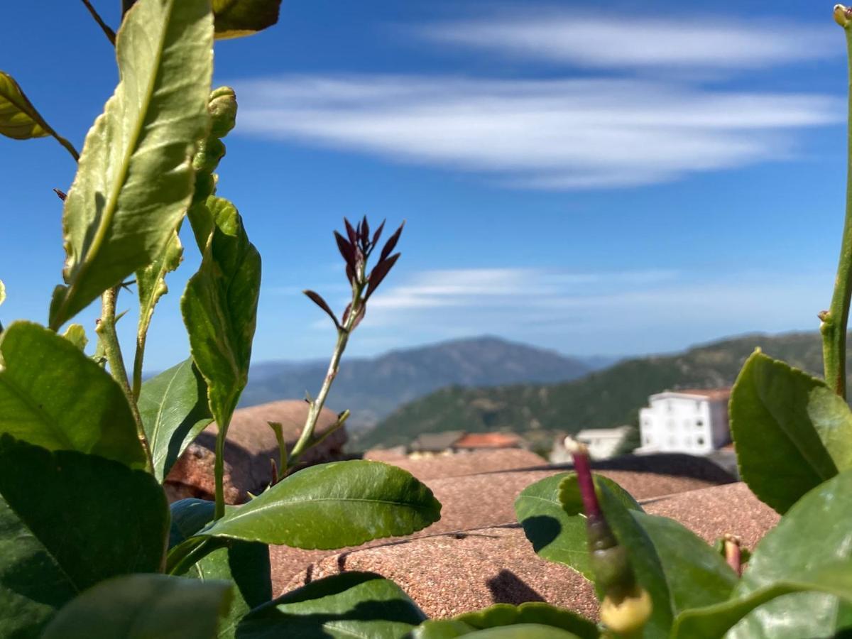 Canduleri Orgosolo Exteriér fotografie